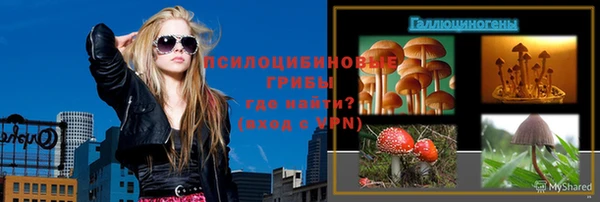 стаф Киреевск