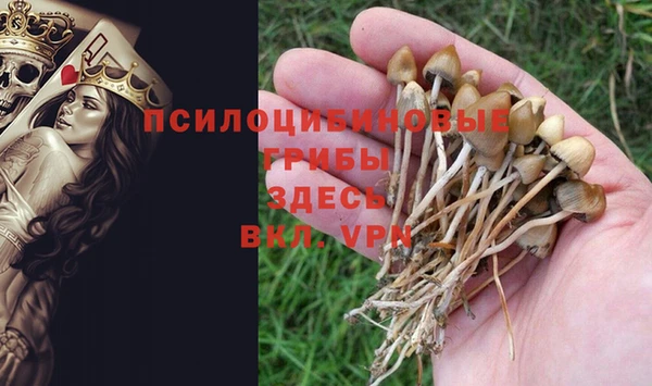 мяу мяу кристалл Коряжма