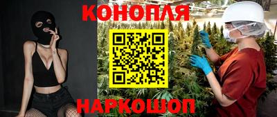 гидропоника Кингисепп