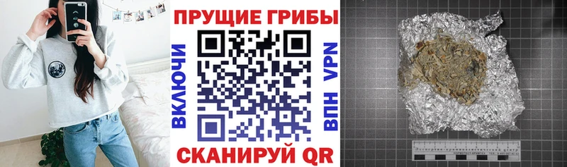 Галлюциногенные грибы MAGIC MUSHROOMS  Михайловка 