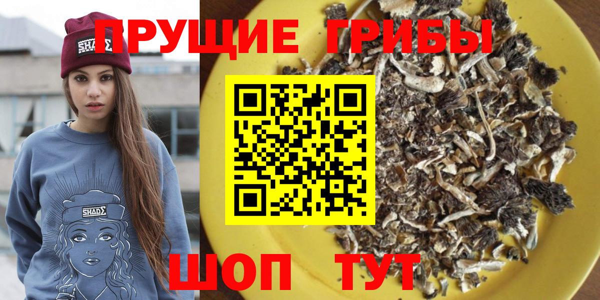 Псилоцибиновые грибы Psilocybine cubensis Михайловка