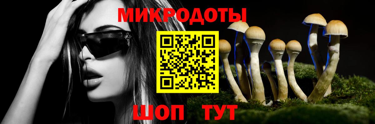 Галлюциногенные грибы мицелий  Вход с VPN  Михайловка 